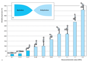 disk dehydration vs hydration