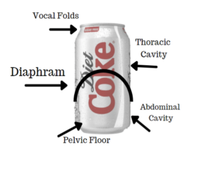 diagram precuts excavatum