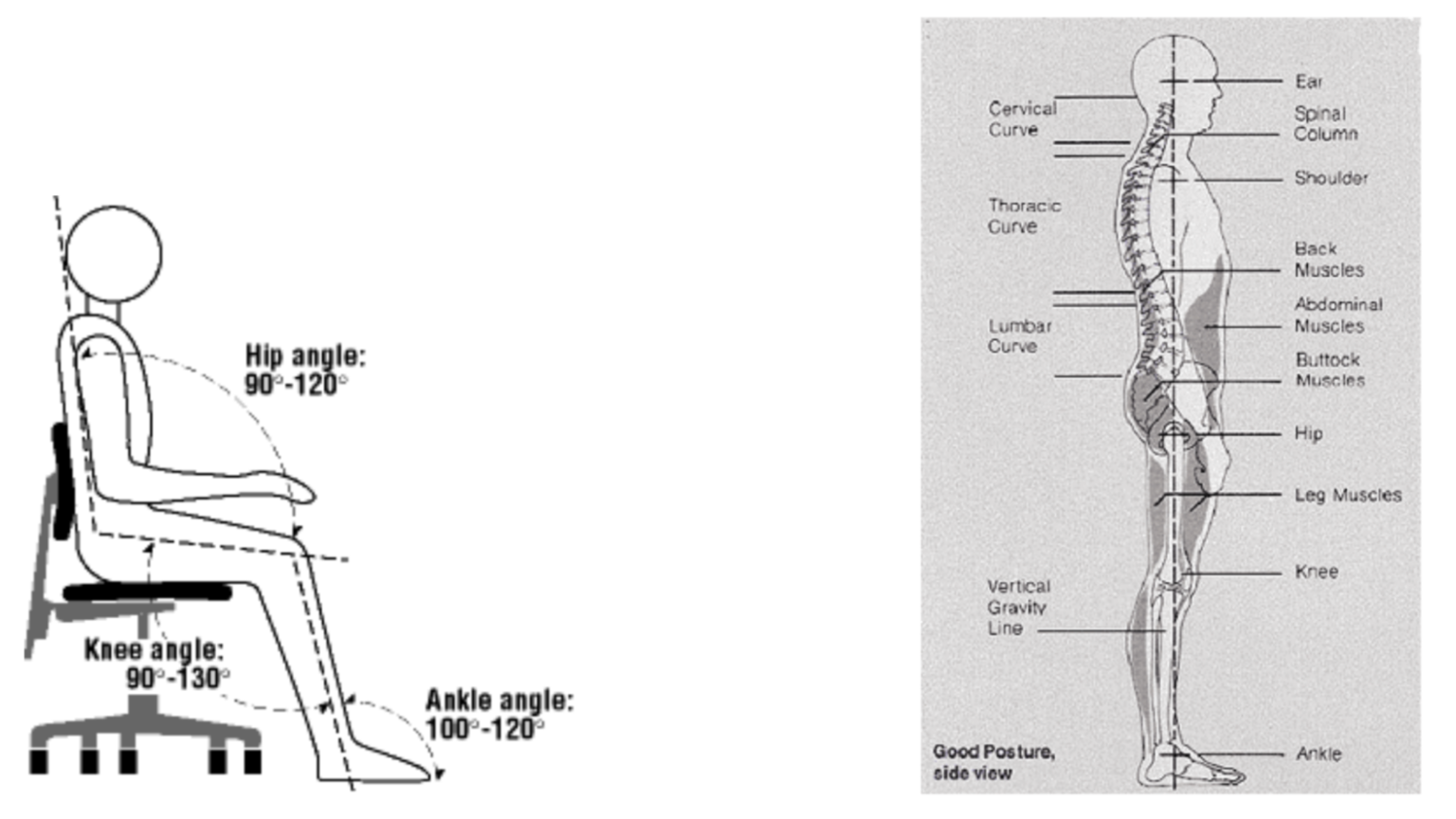 Postural Shift Ergonomics for Pain Relief: Key Strategies Explained
