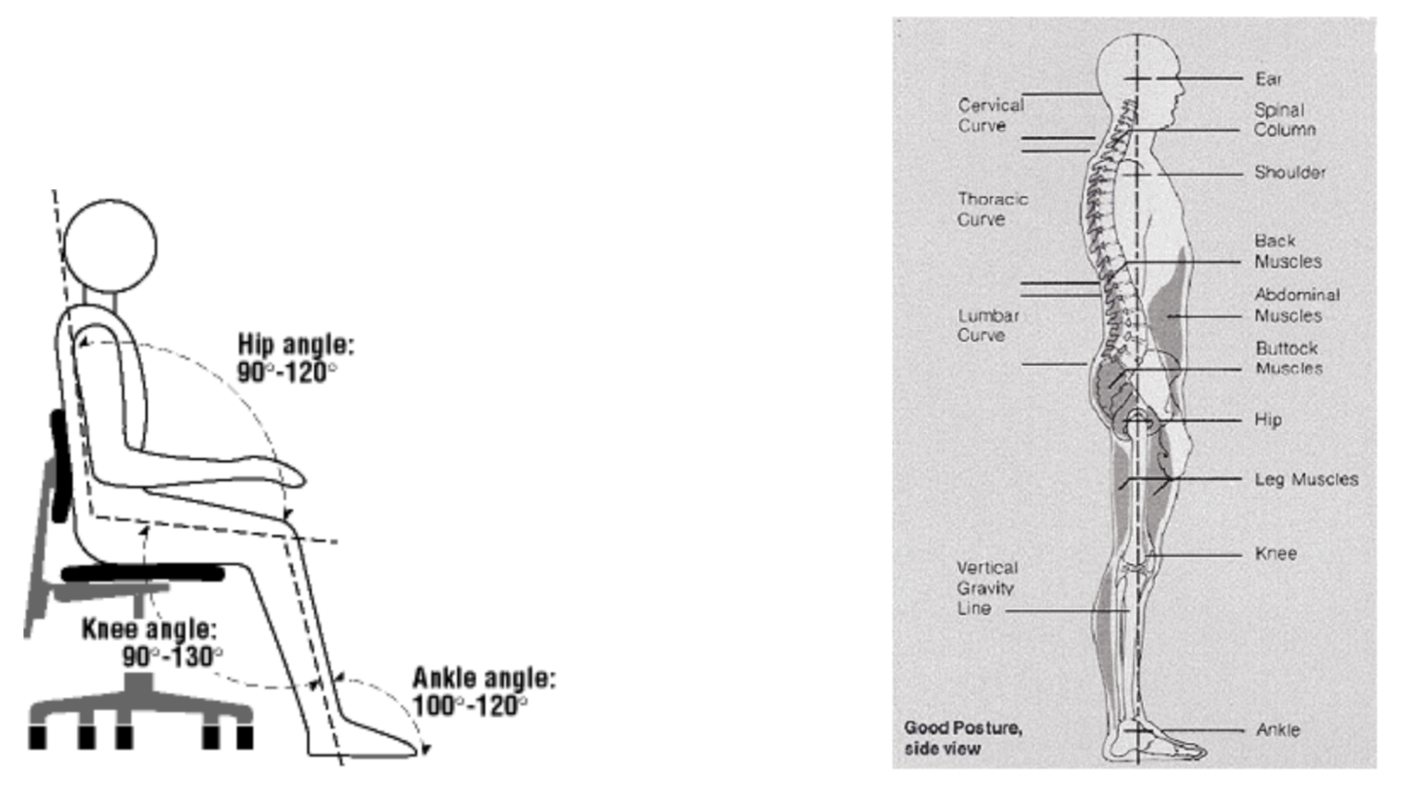Posture for Pain Relief. ScoliosisPTJax